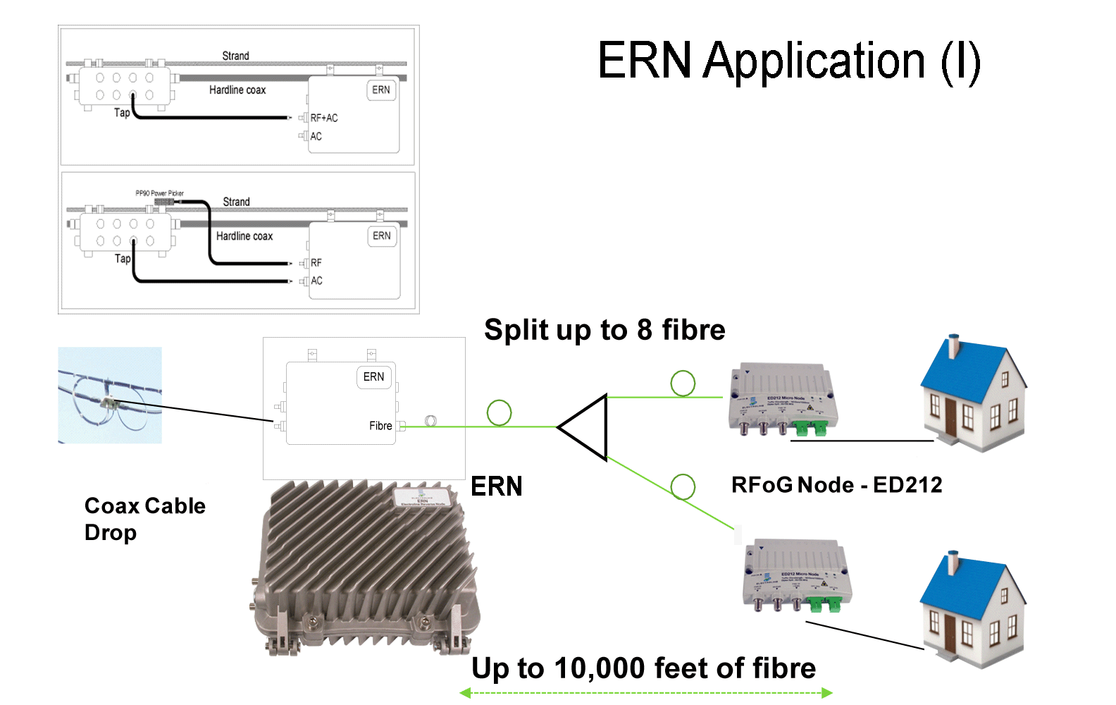 ERN-application-1
