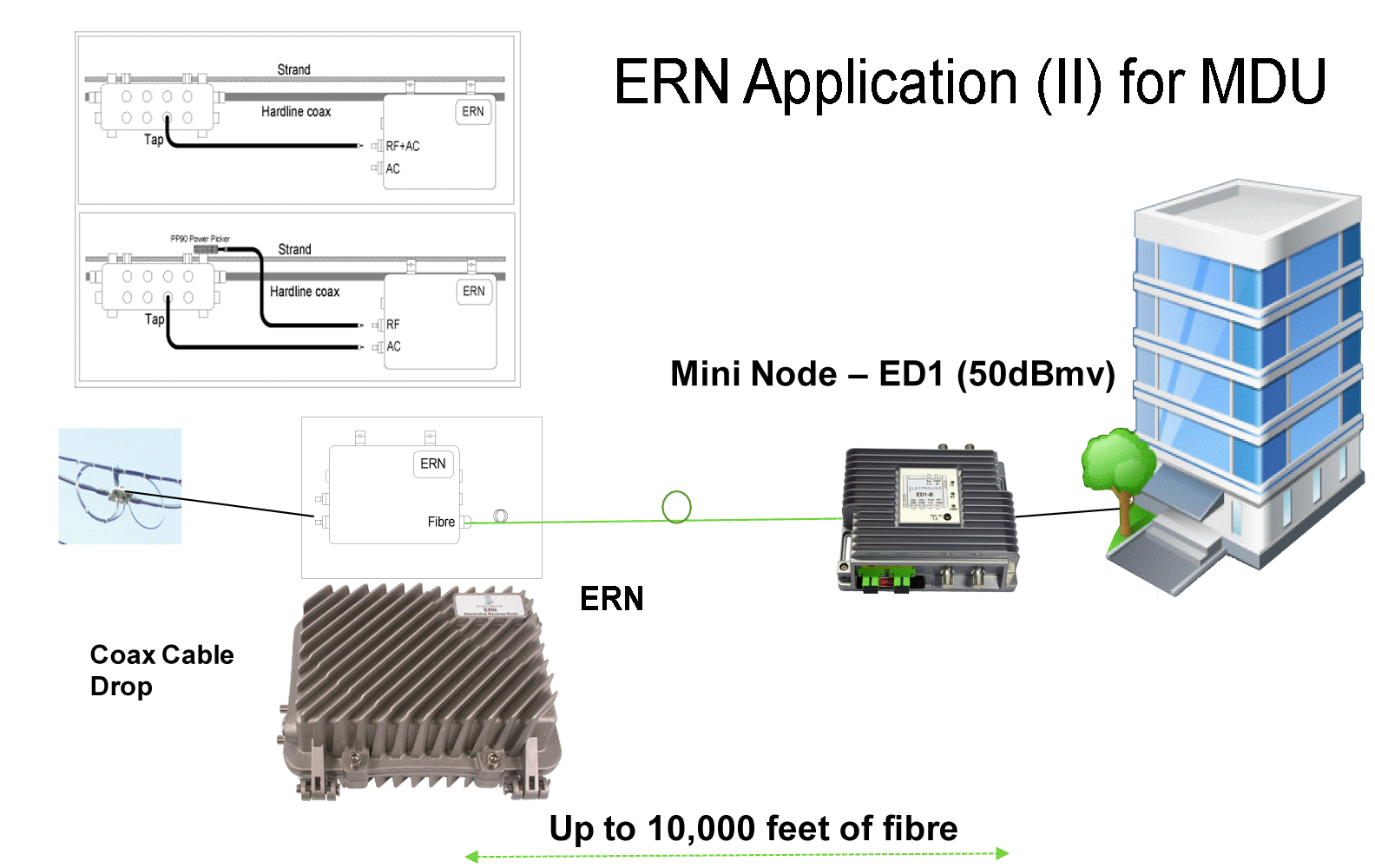 ERN-application-2